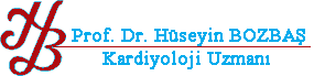 hüseyin bozbaş logo